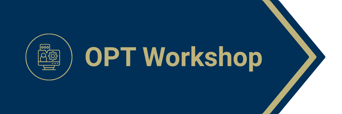 OPT Workshop