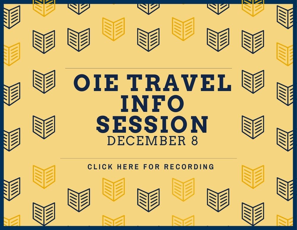 OIE Info Session Dec 8- Recording